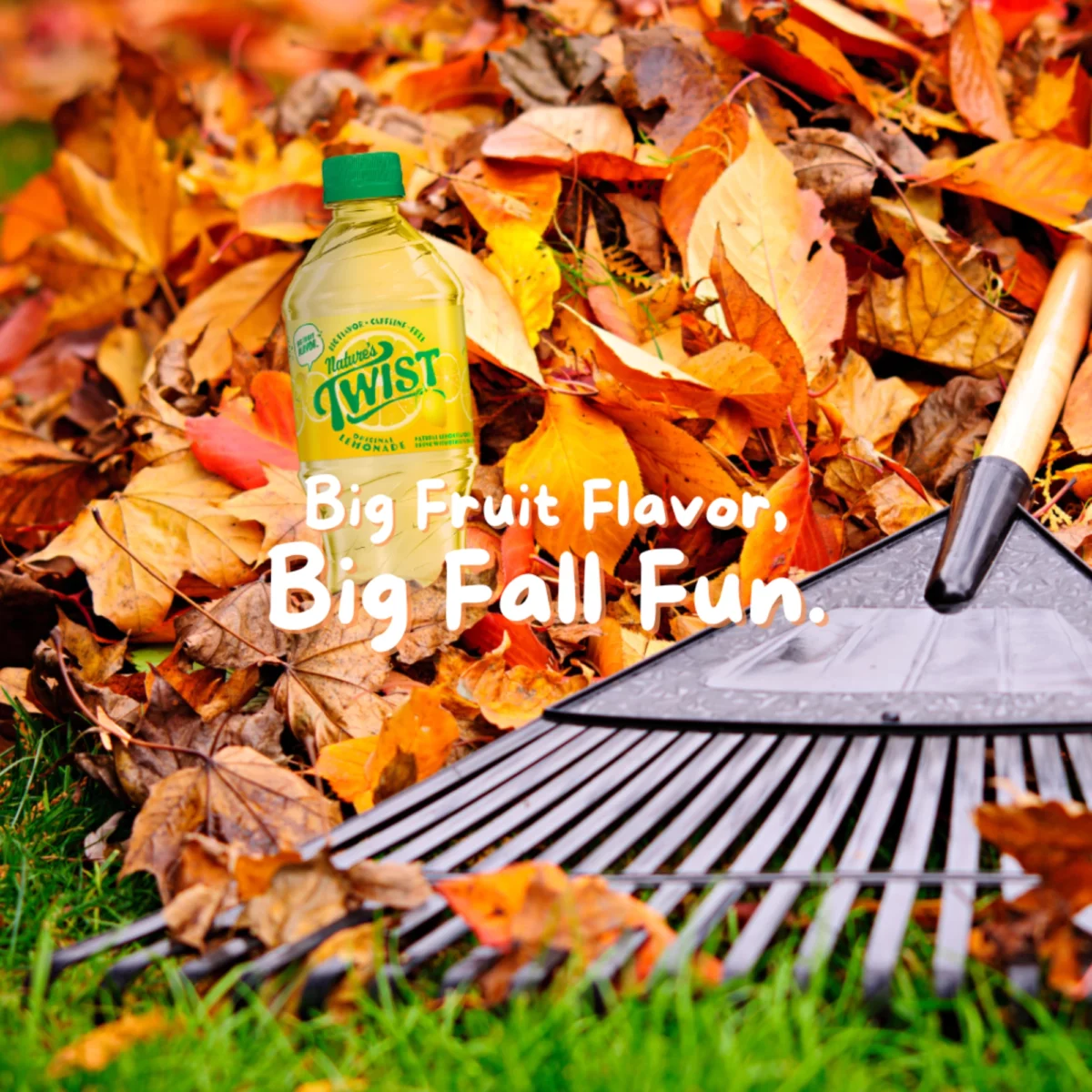 Nature's Twist big fall fun social media campaign