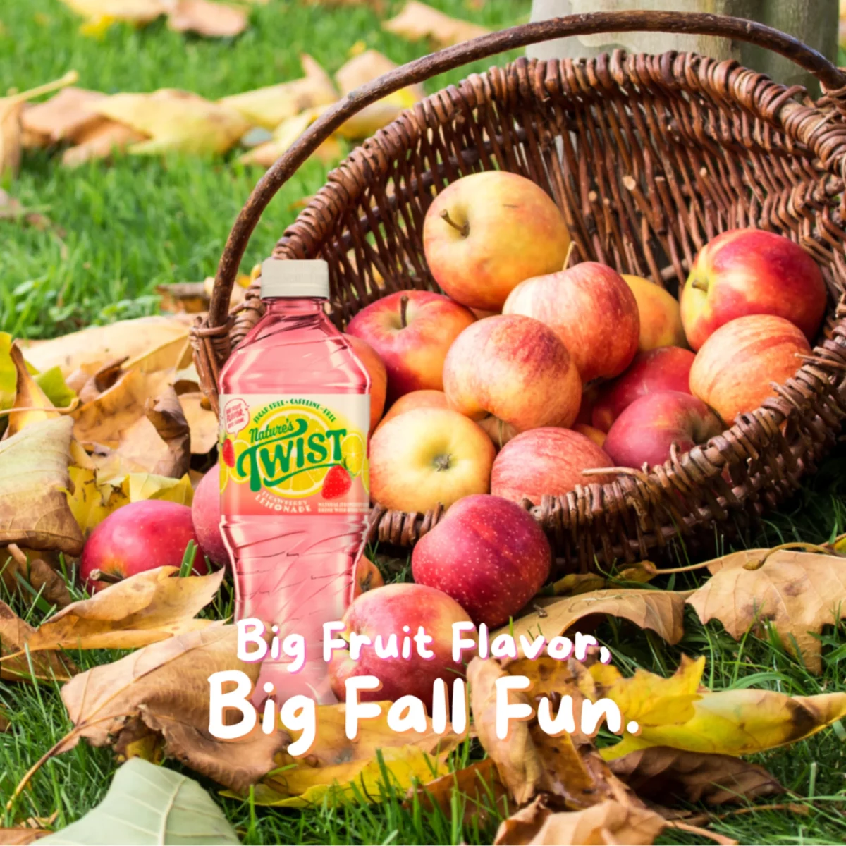 Nature's Twist big fall fun social media campaign